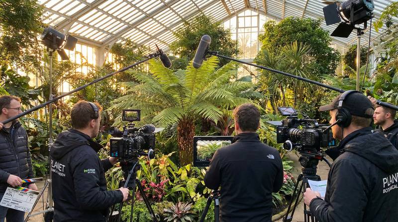 草莓视频植物视频-幕后花絮视频教程